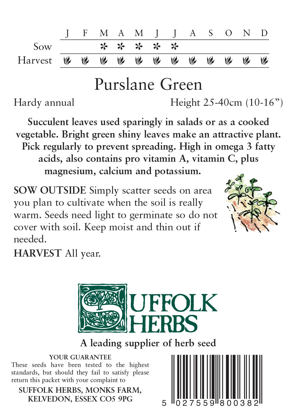 Purslane Green - Mill Race Garden Centre