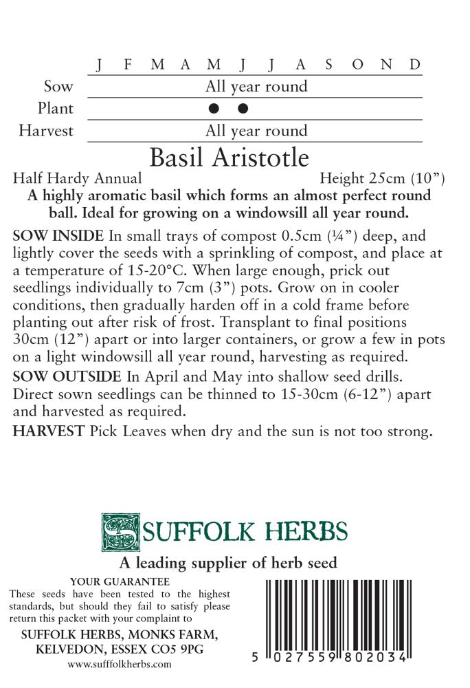 Herb Basil Aristotle - Mill Race Garden Centre