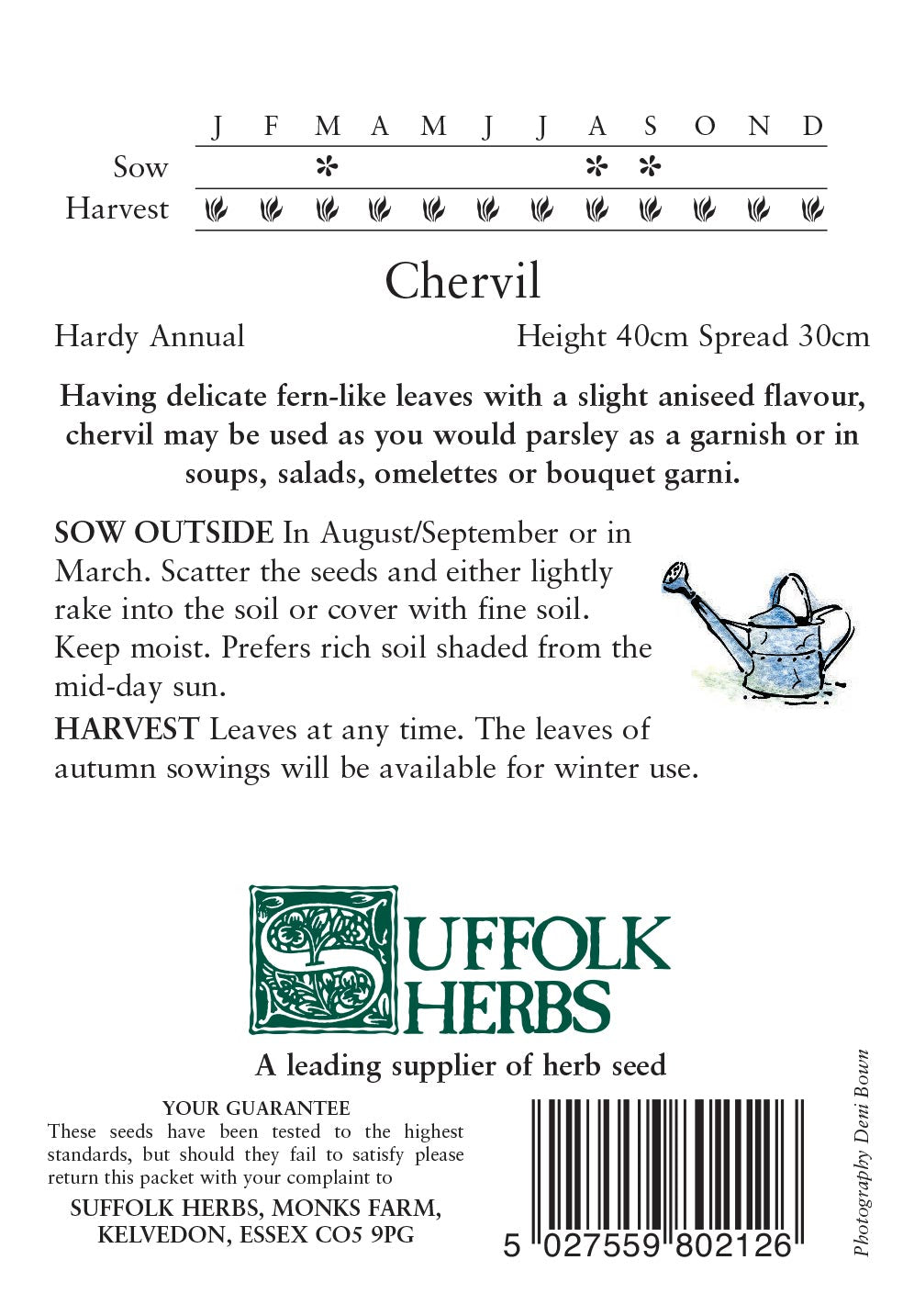 Chervil - Mill Race Garden Centre