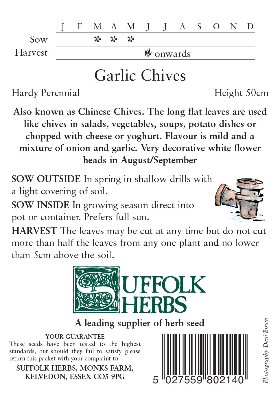 Chives Garlic - Mill Race Garden Centre
