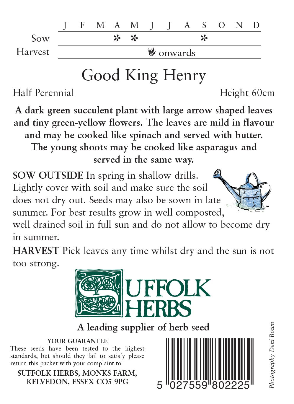 Good King Henry - Mill Race Garden Centre