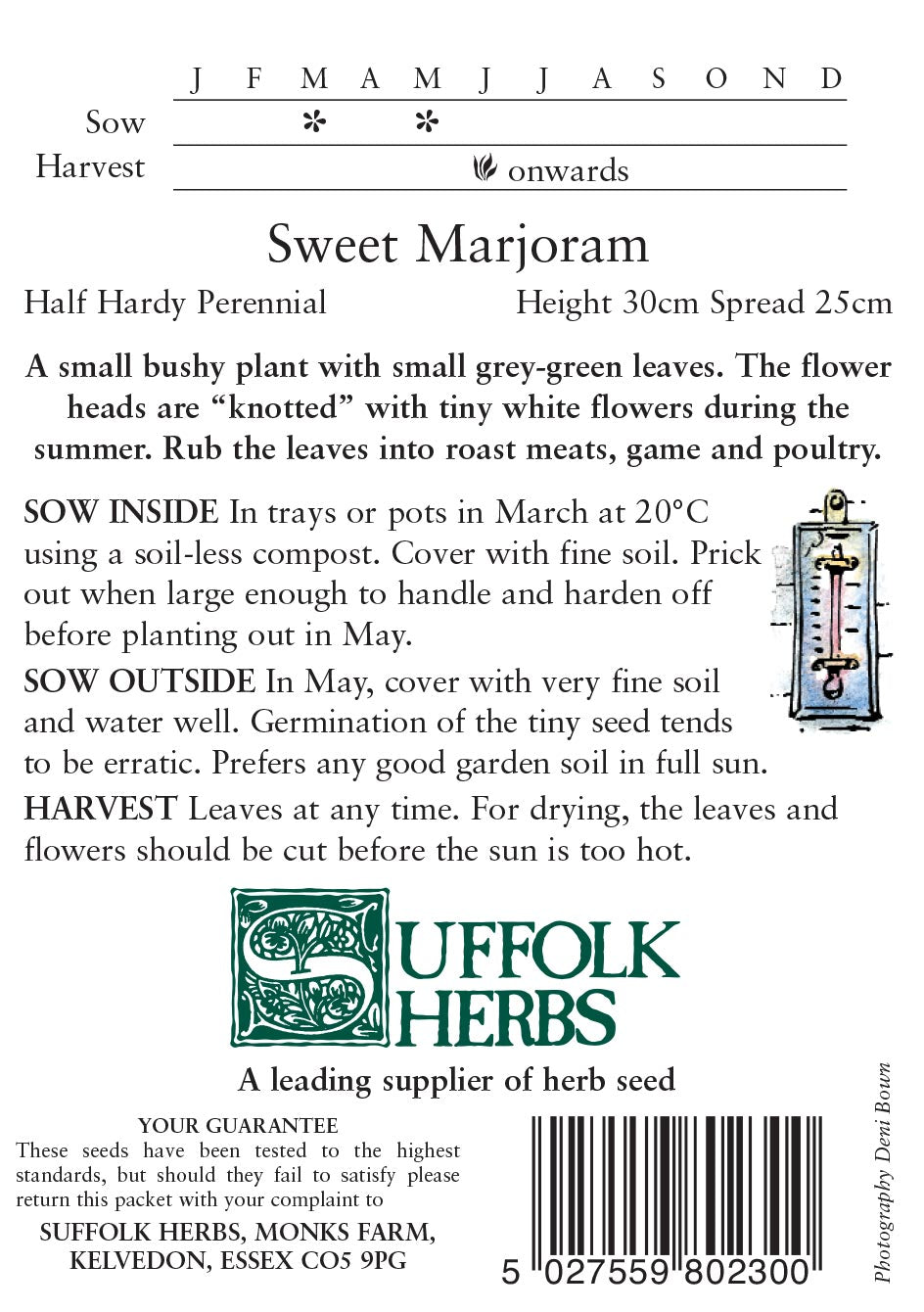 Sweet Marjoram - Mill Race Garden Centre