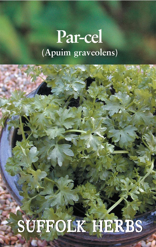 Parcel - Mill Race Garden Centre