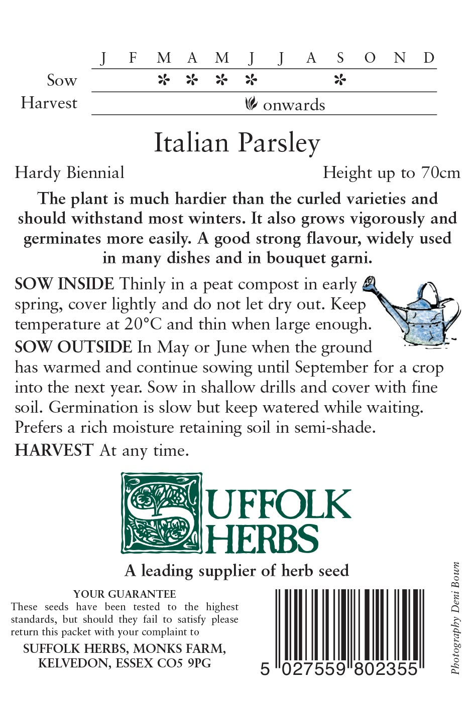 Italian Giant Organic Parsley Seeds - Mill Race Garden Centre