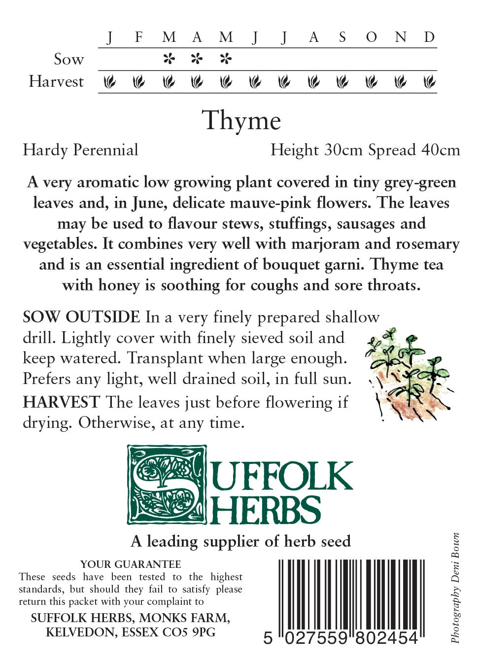 Thyme - Mill Race Garden Centre