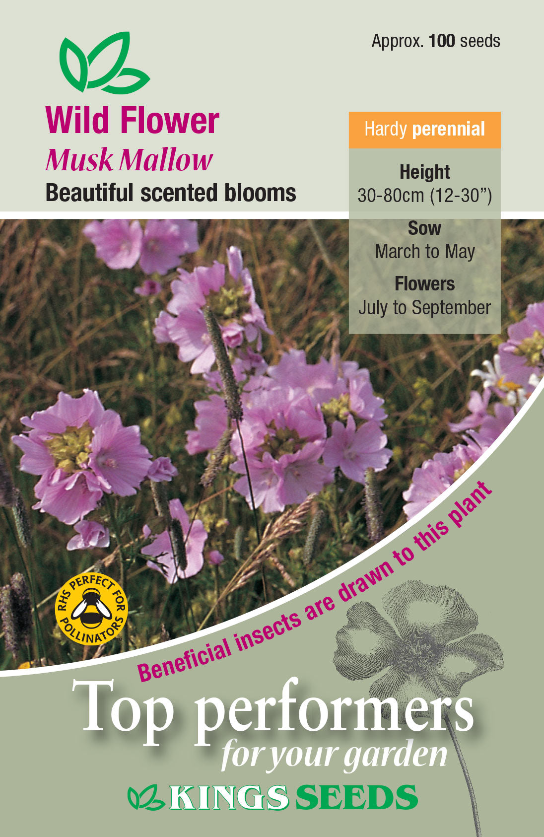 Wild Flower Musk Mallow - Mill Race Garden Centre