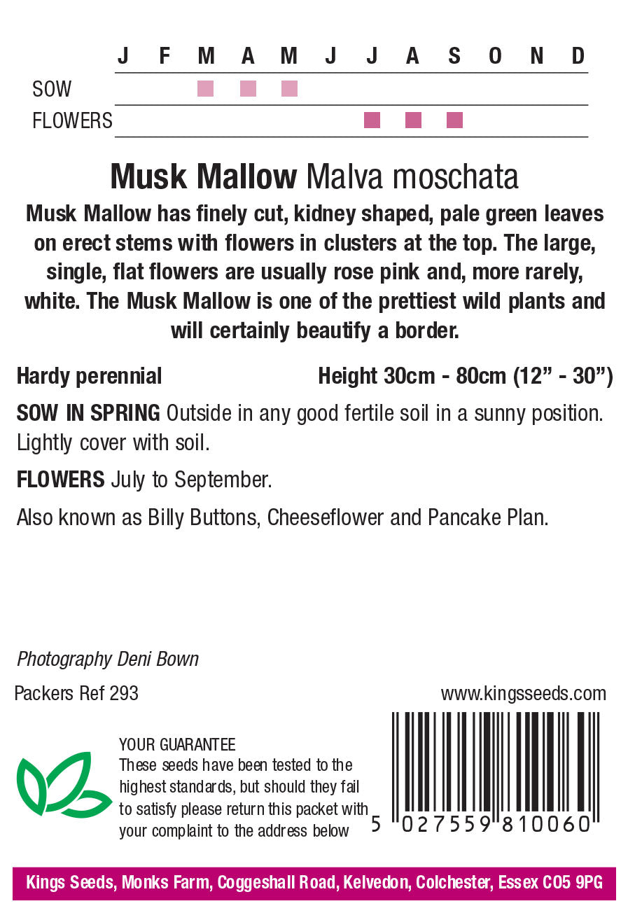 Wild Flower Musk Mallow - Mill Race Garden Centre