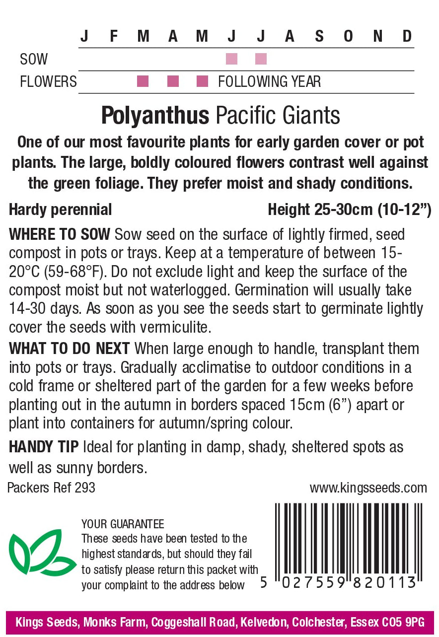 Polyanthus Pacific Giants F1 by Kings Seeds - Mill Race Garden Centre