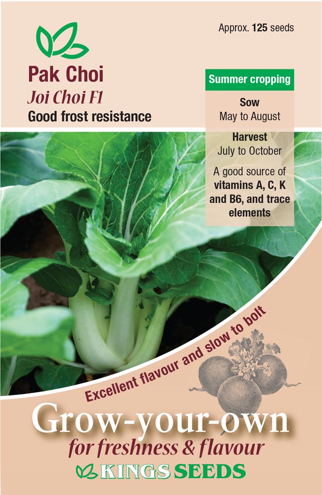 Pak Choi Joi Choi F1 by Kings Seeds - Mill Race Garden Centre