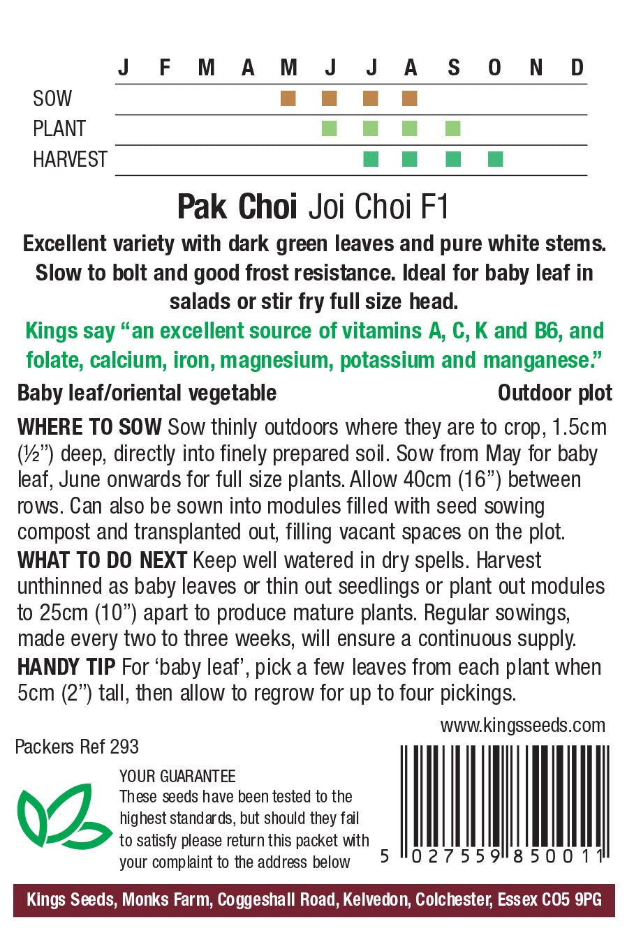 Pak Choi Joi Choi F1 by Kings Seeds - Mill Race Garden Centre