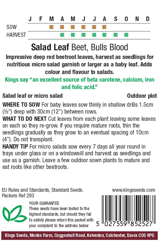 Beetroot Bulls Blood - Mill Race Garden Centre