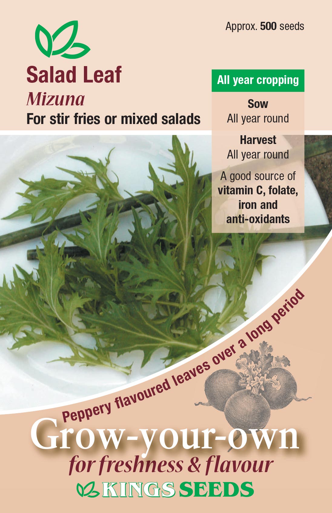 Salad Leaf Mizuna by Kings Seeds - Mill Race Garden Centre