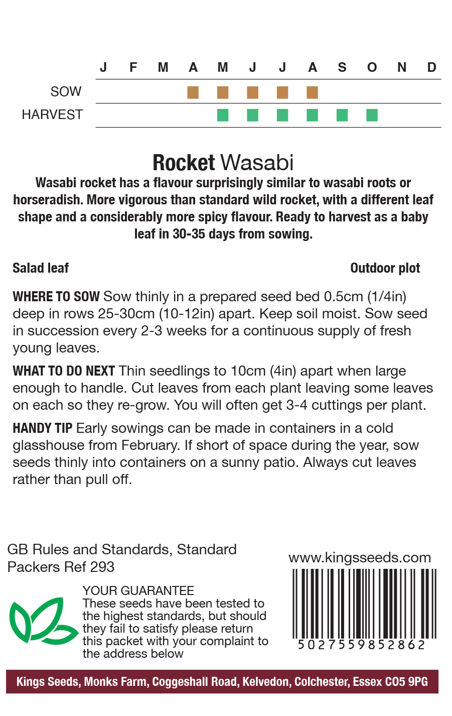 Rocket Wasabi Salad Leaf Seeds - Mill Race Garden Centre