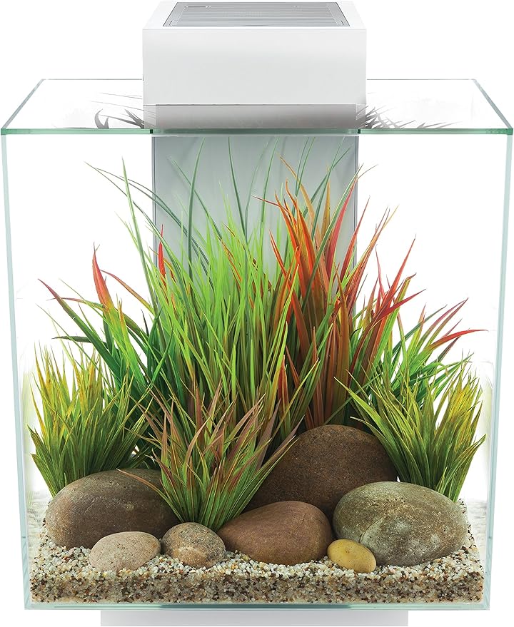 Fluval Edge White Aquarium Kit 46L - Mill Race Garden Centre