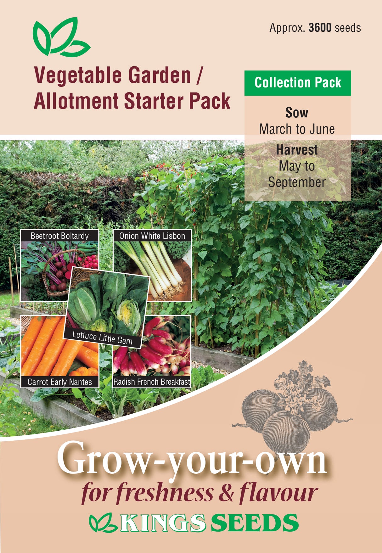 Vegetable Garden / Allotment Starter Pack by Kings Seeds - Mill Race Garden Centre