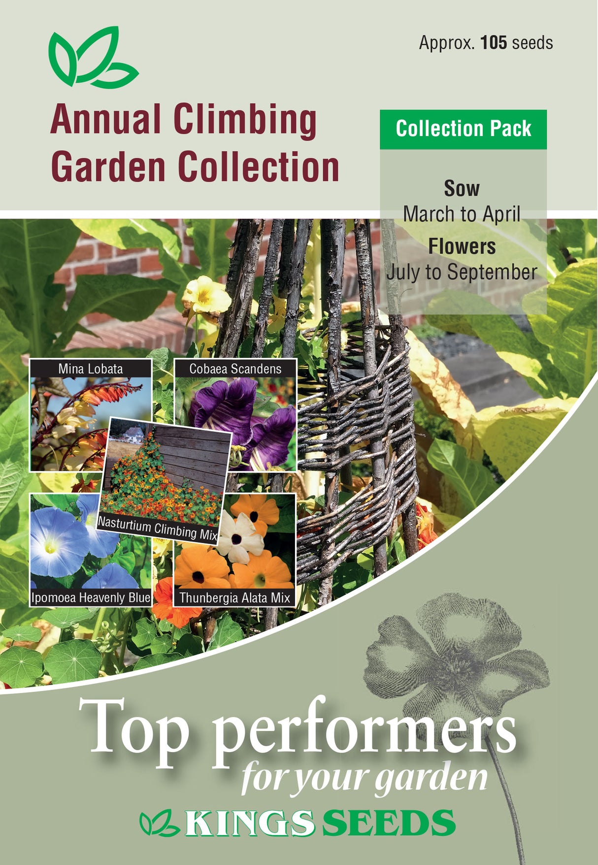Annual Climbing Garden Collection by Kings Seeds - Mill Race Garden Centre