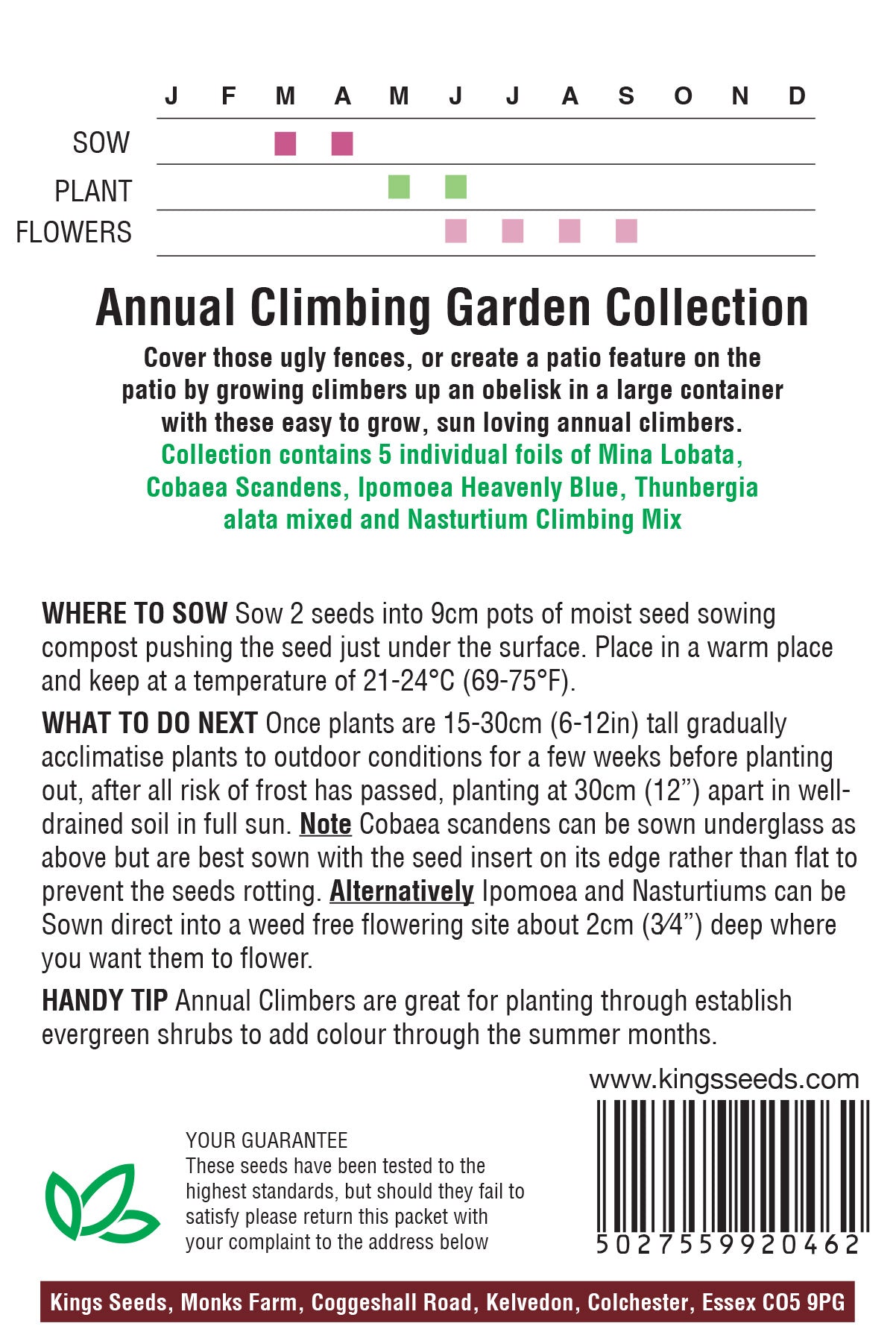 Annual Climbing Garden Collection by Kings Seeds - Mill Race Garden Centre
