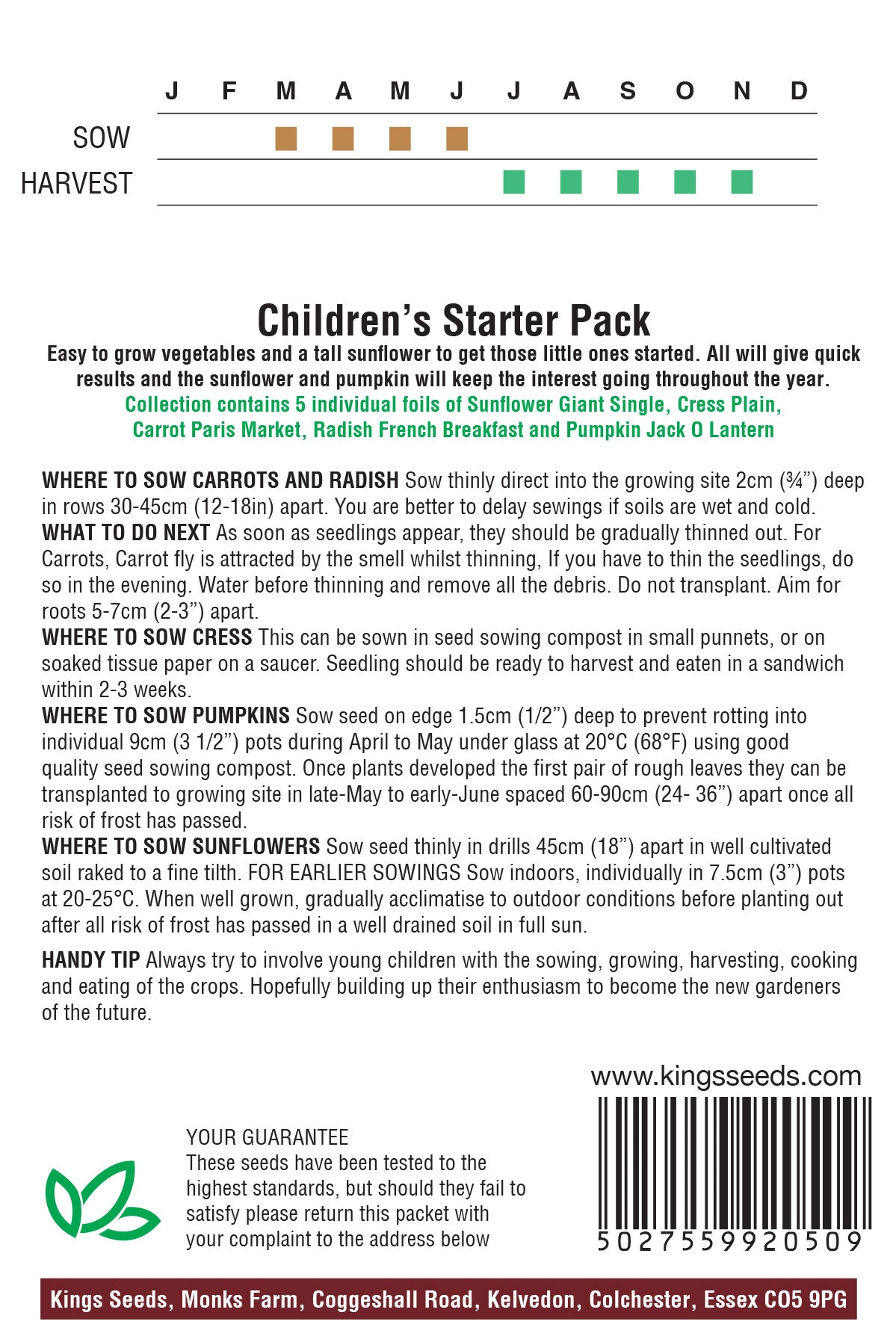 Children's Starter Pack by Kings Seeds - Mill Race Garden Centre