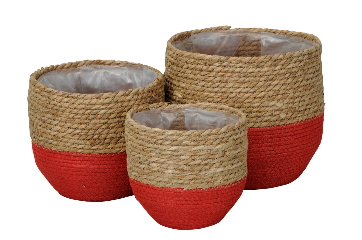 25cm Large Brown and Red Seagrass Basket - Mill Race Garden Centre