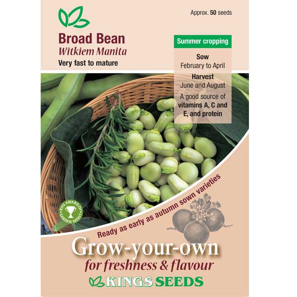 Broad Bean Seeds Witkiem Manita by Kings Seeds - Mill Race Garden Centre