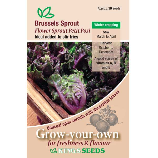 Brussels Sprout Flower Sprout Petit Posi - Mill Race Garden Centre