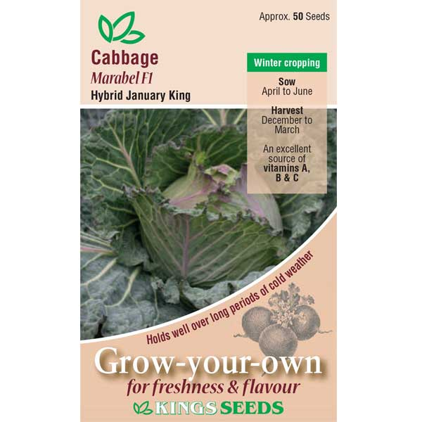 Cabbage January King Marabel F1 - Mill Race Garden Centre