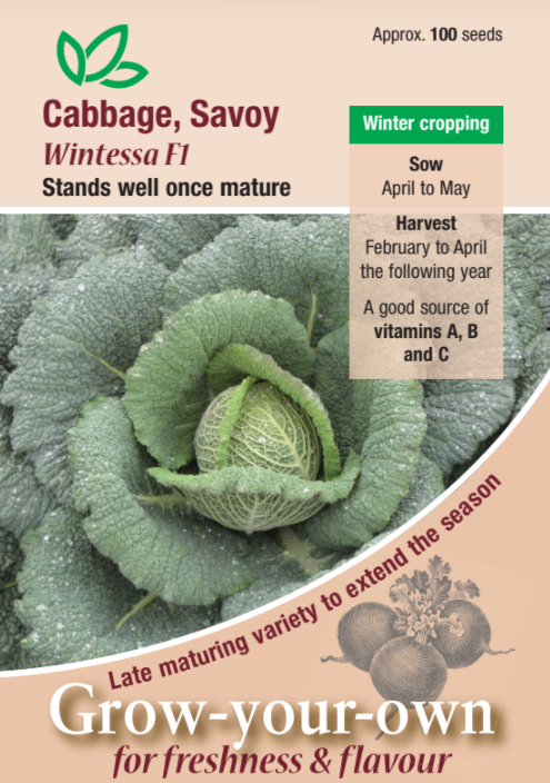 Cabbage Savoy Wintessa F1 - Mill Race Garden Centre