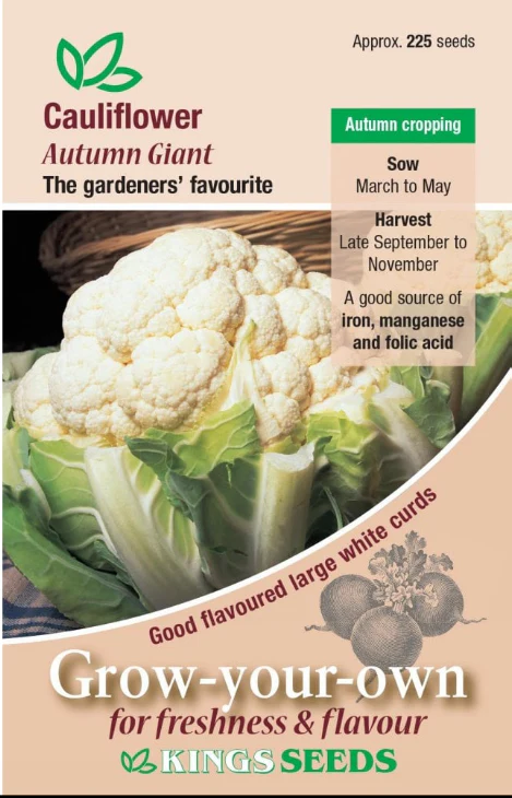 Cauliflower Autumn Giant - Mill Race Garden Centre