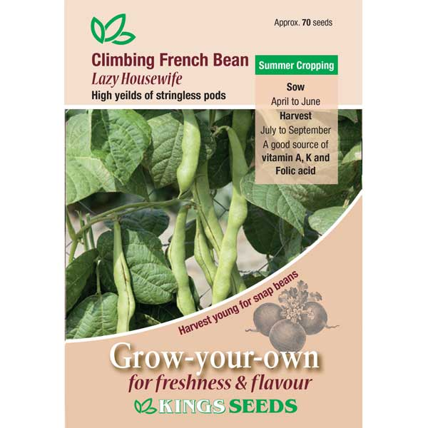 Climbing French Bean Lazy Housewife - Mill Race Garden Centre