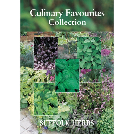 Suffolk Herbs Culinary Favourites Collection