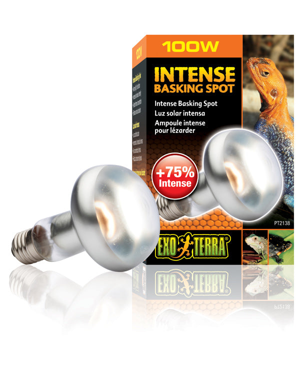 Exo Terra Intense Basking Spot Lamp 100W - Mill Race Garden Centre