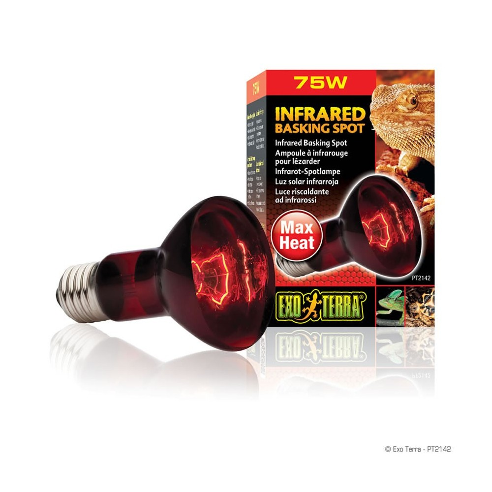 Exo Terra HeatGlo Infrared Spot Lamp R20 75W - Mill Race Garden Centre