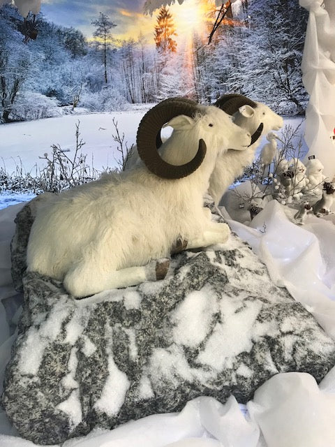 My Village Mouldable Sheet Rocks Roll 1.2X10M Extra Large Size For Large Projects - Mill Race Garden Centre