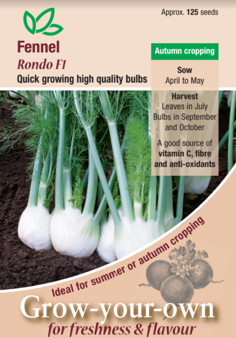 Fennel Rondo F1 - Mill Race Garden Centre