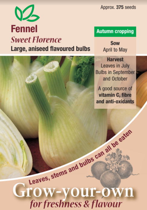 Fennel Sweet Florence - Mill Race Garden Centre