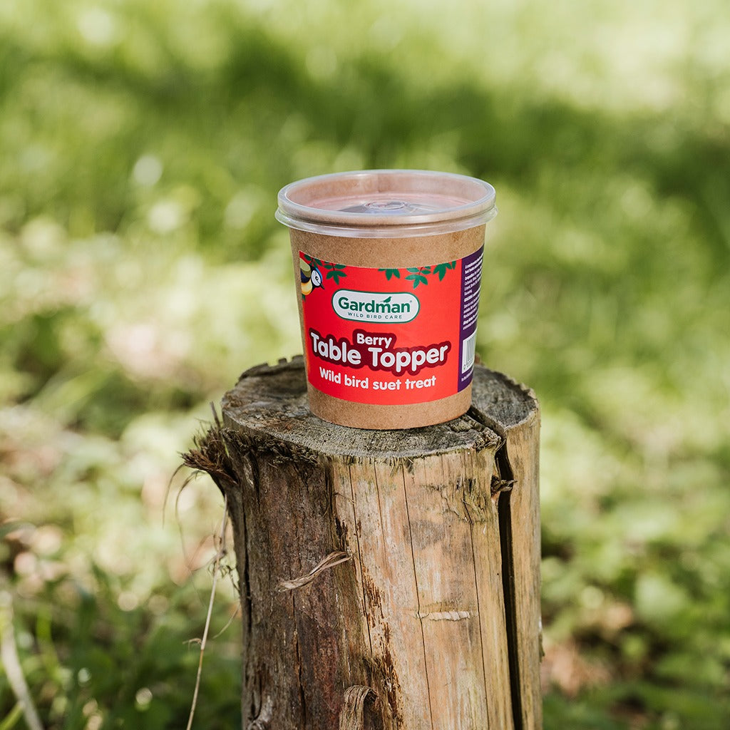 Gardman Berry Table Topper - Mill Race Garden Centre