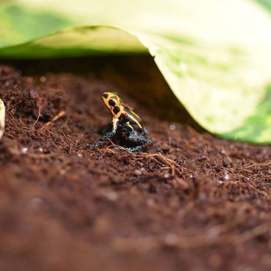 HabiStat Coir Mini Block 350g - Mill Race Garden Centre