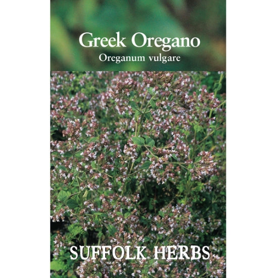 Greek Oregano by Suffolk Herbs