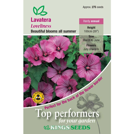 Lavatera Loveliness by Kings Seeds