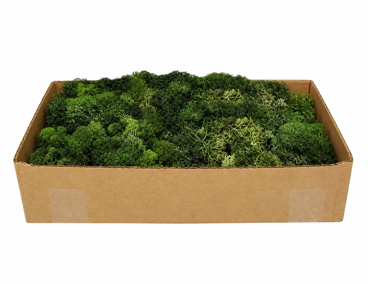 My Village Dark Green Reindeer Moss (500 g) – Natural Preserved Landscape Moss for Lemax Christmas Villages & Model Scenery