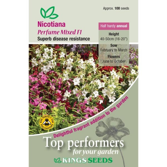 Nicotiana Perfume Mixed F1 - Mill Race Garden Centre