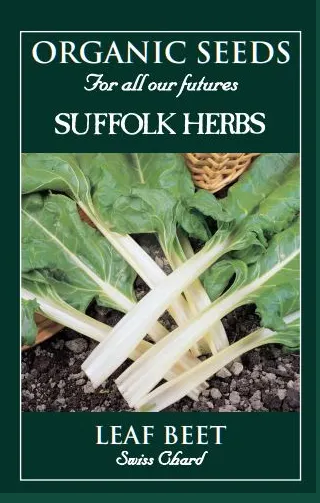 Organic Beet Swiss Chard - Mill Race Garden Centre