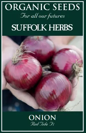 Organic Onion Red Tide F1 - Mill Race Garden Centre