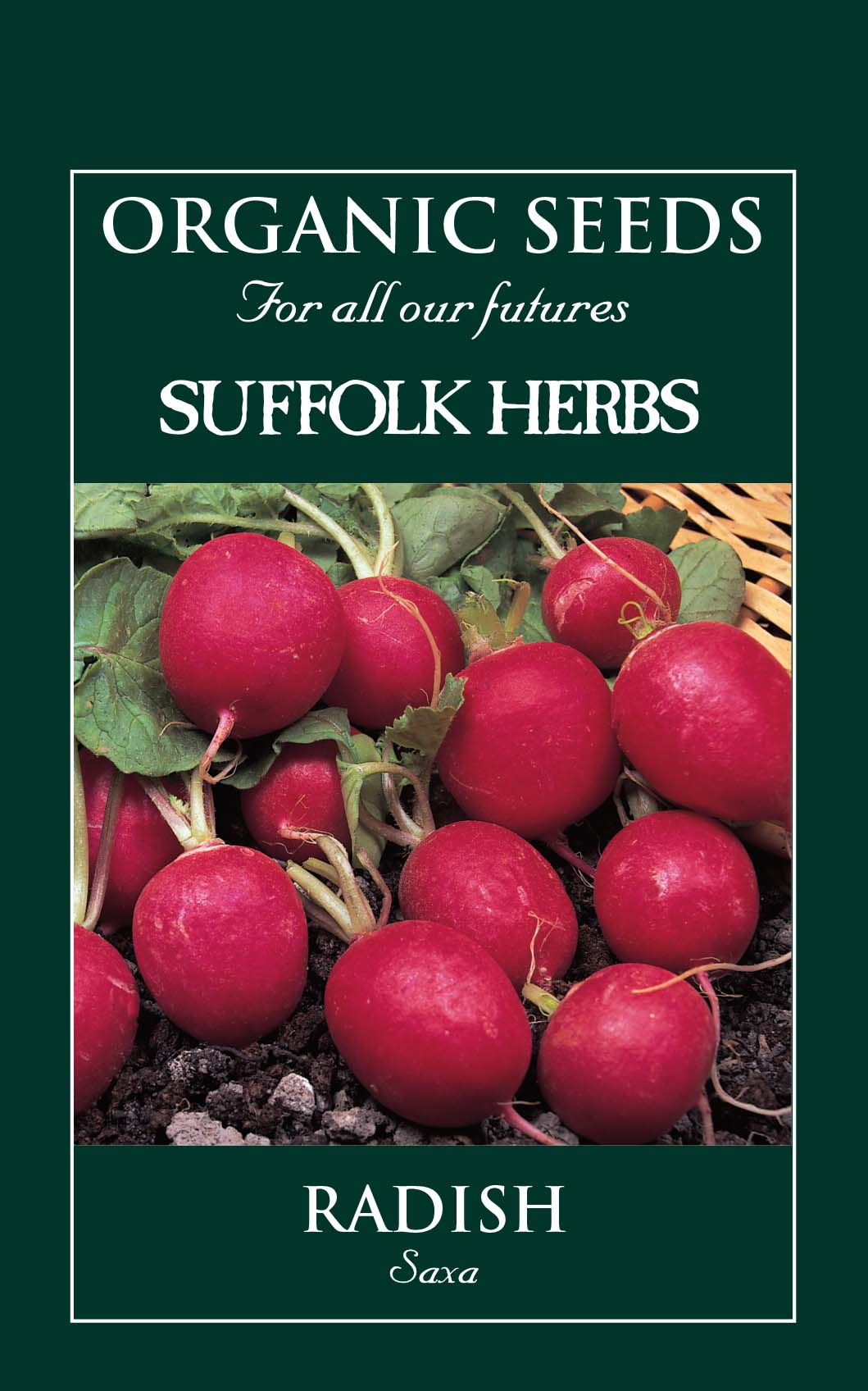 Organic Radish Saxa - Mill Race Garden Centre