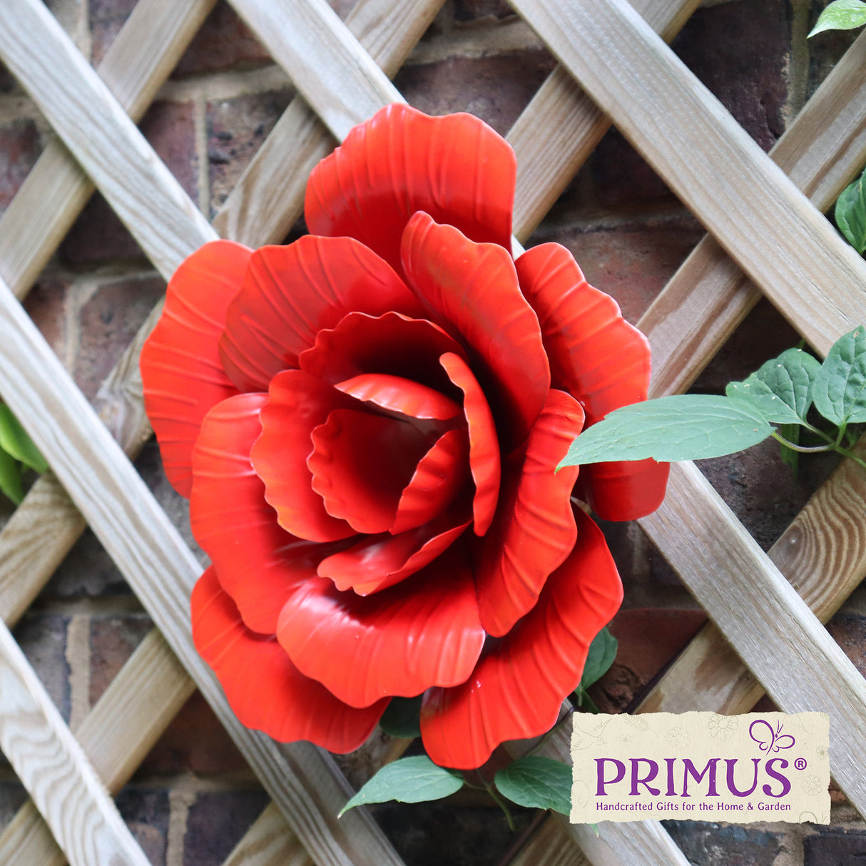Large Metal Rose Wall Ornament – Vibrant Garden & Home Decor by Primus - Mill Race Garden Centre