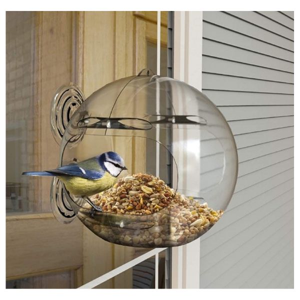 Peckish Globe Window Bird Feeder for small birds, clear plastic with perch, designed for easy viewing and bird feeding from indoors.