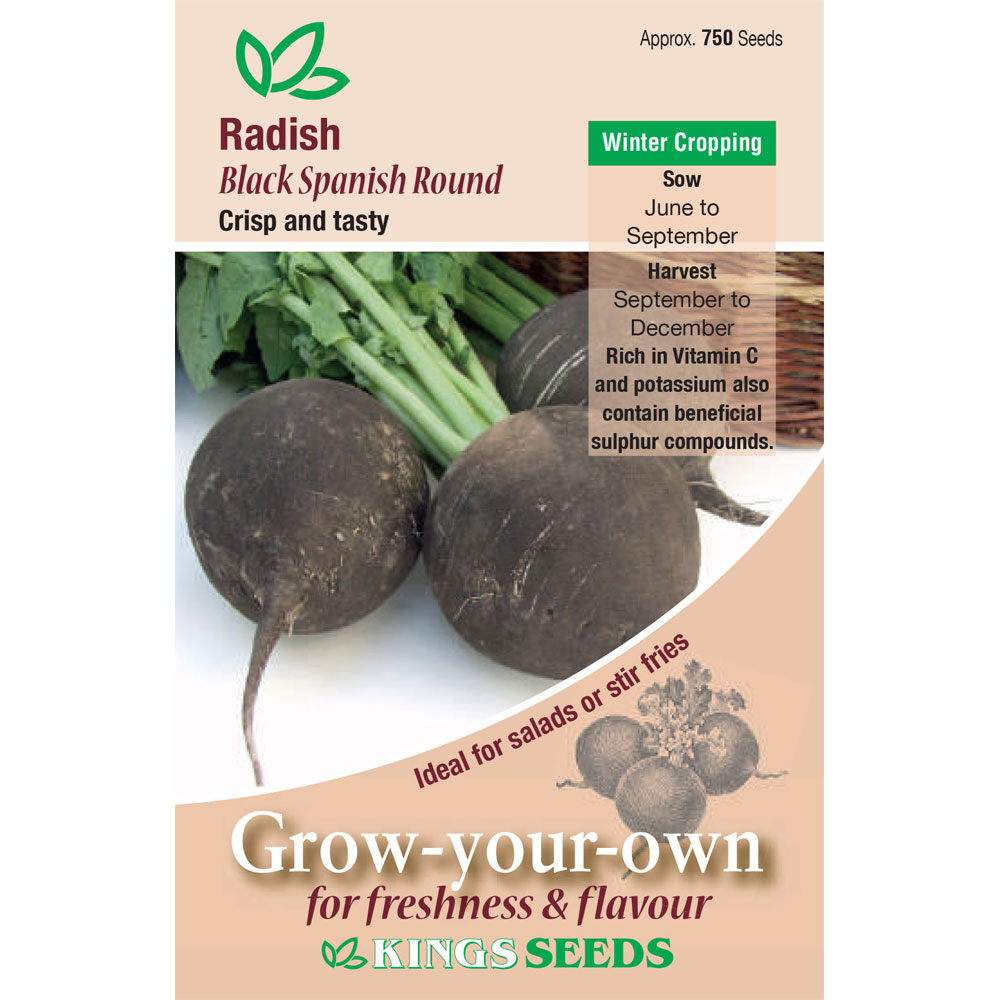 Radish Black Spanish Round - Mill Race Garden Centre