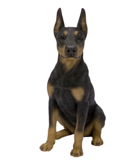 Real Life Doberman Pinscher Ornament Size D by Vivid Arts - Mill Race Garden Centre