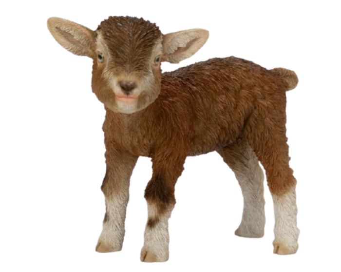 Real Life Kid Goat Brown Ornament Size D by Vivid Arts - Mill Race Garden Centre