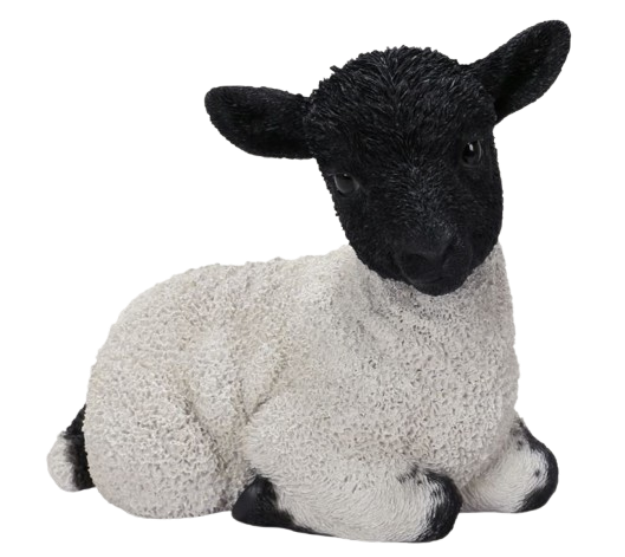 Real Life Sitting Black Face Lamb Ornament Size D by Vivid Arts - Mill Race Garden Centre